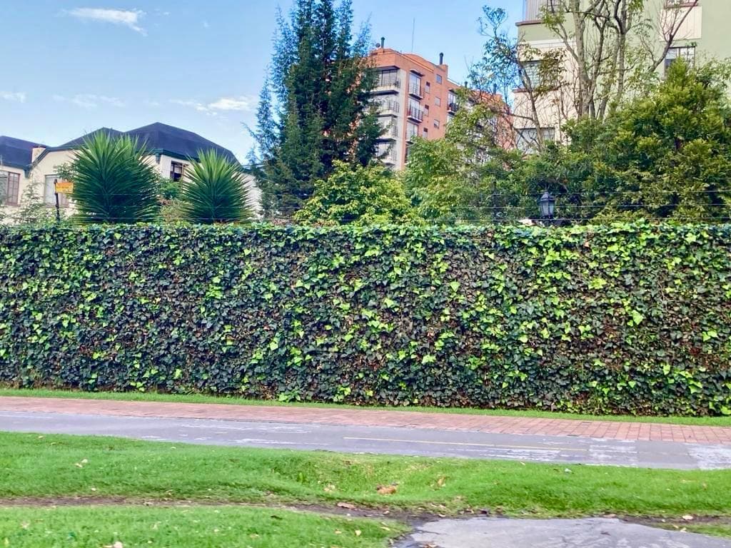 Cerramientos en cerca viva